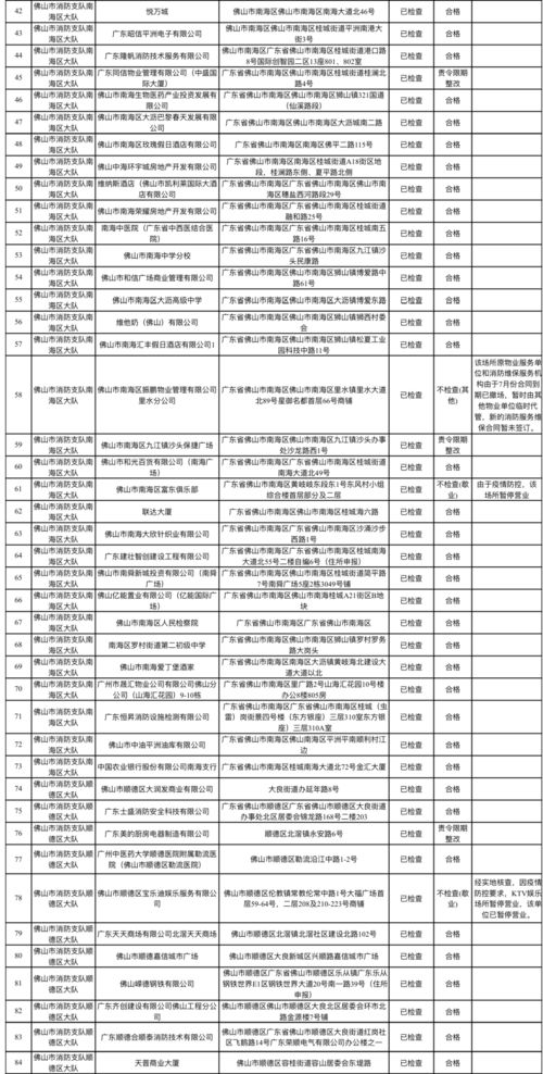 公告 佛山市消防救援支队八月份消防技术服务机构专项检查结果公告